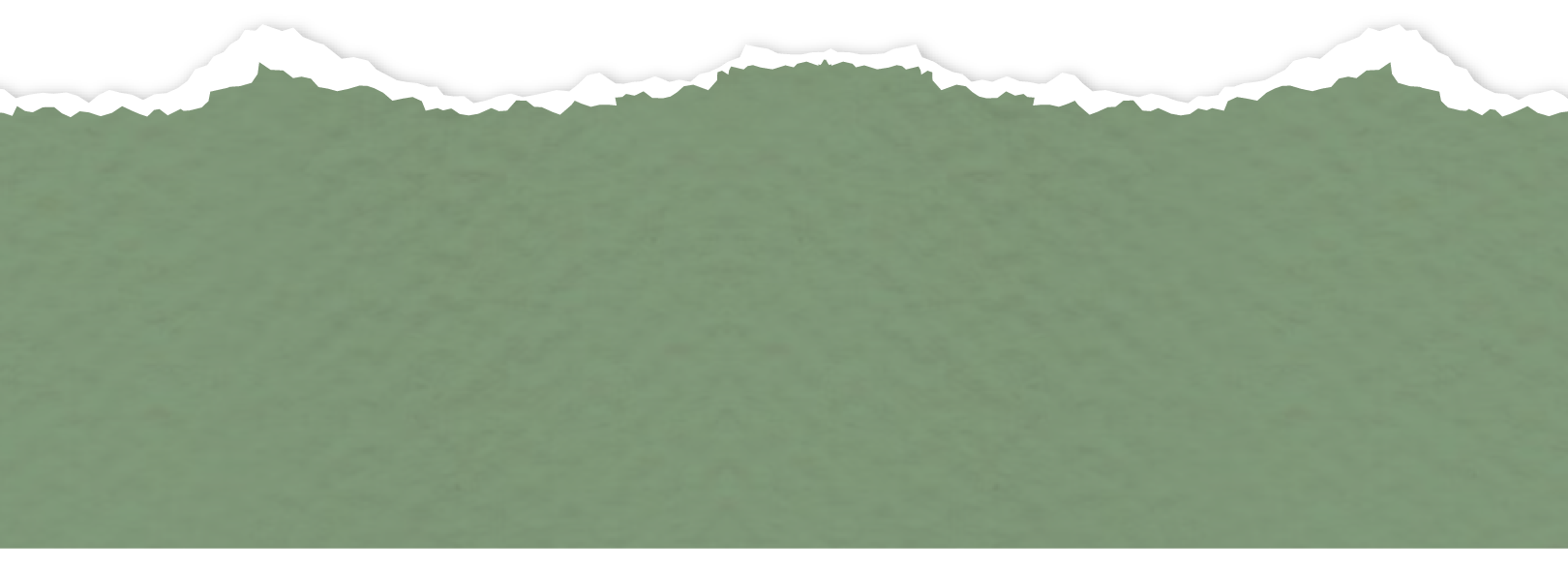 Recurso 21 (2)CaroySalva