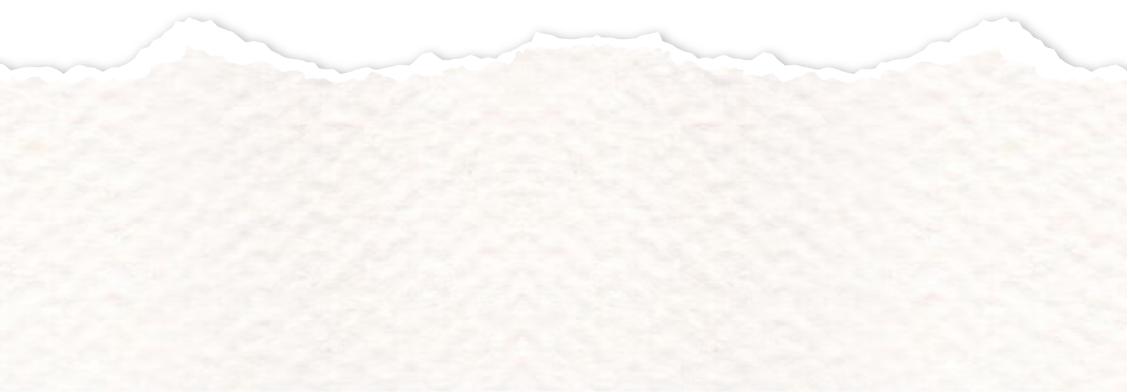 Recurso 23CaroySalva