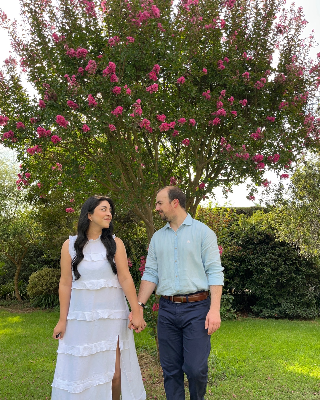 Proyecto naomi y francisco 2